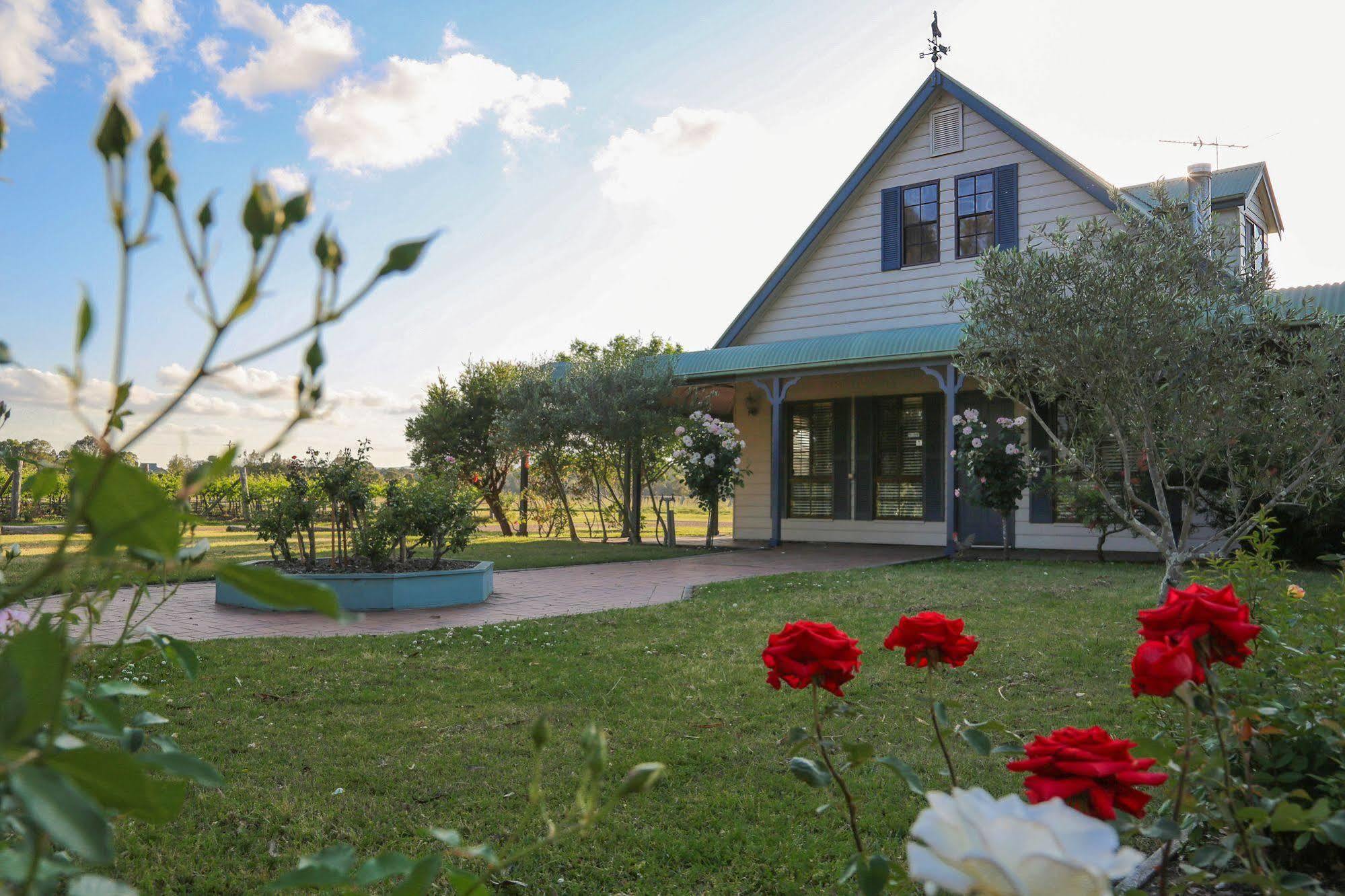 Emma'S Cottage Vineyard Lovedale Exterior photo